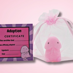 May include: Pink adoption certificate with a pink plush toy in a pink tulle bag. The certificate says "Adoption Certificate" and has lines for the adopter's name, signature, and date.