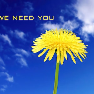 We need you in these hard times! Thank you for being with us. It means a world to all of us.