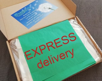 EXPRESS delivery, Service listing. The listing CAN'T be considered the second item in order to get '20% off for two items and more' discount