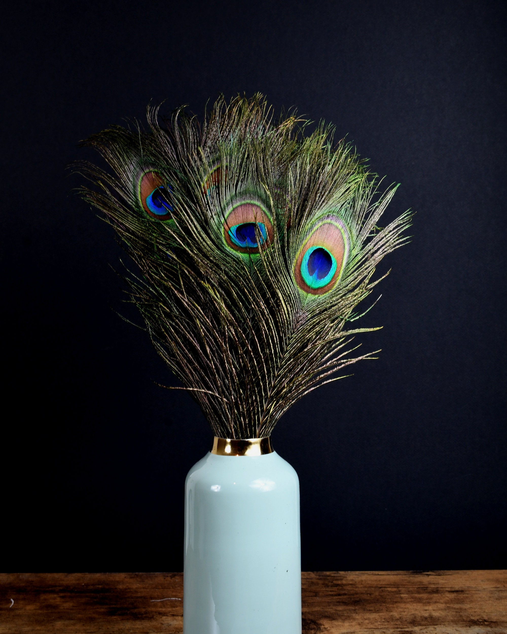 Inspired by Peacock Feathers - National Solutions