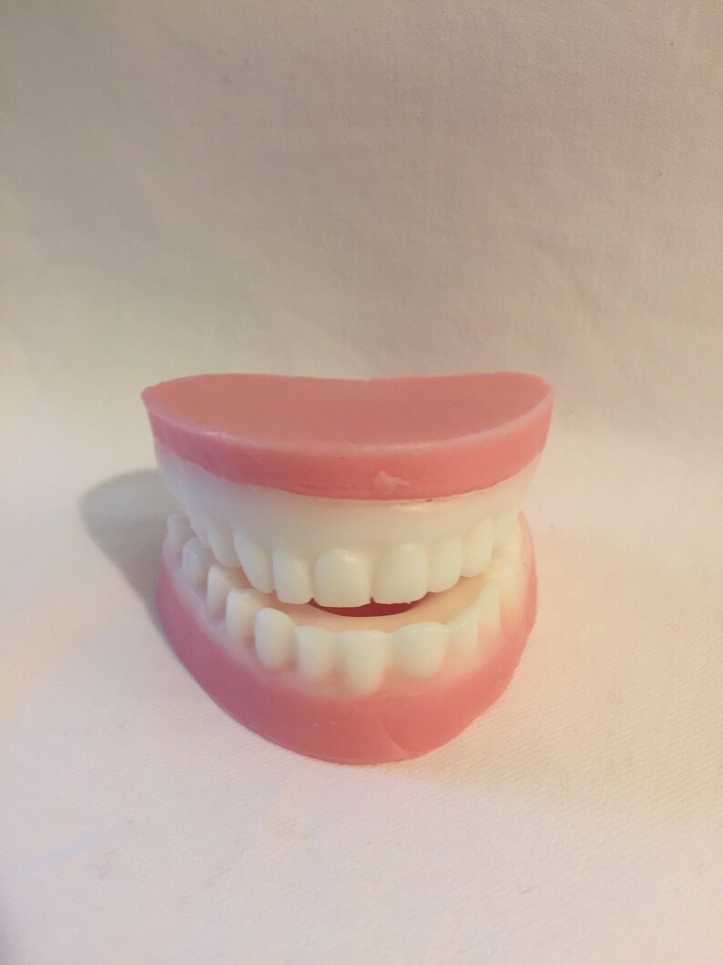 Funny Teeth Soap/ False Teeth/ Novelty Teeth Soap / Dentist Etsy UK