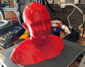 3D printed Bust