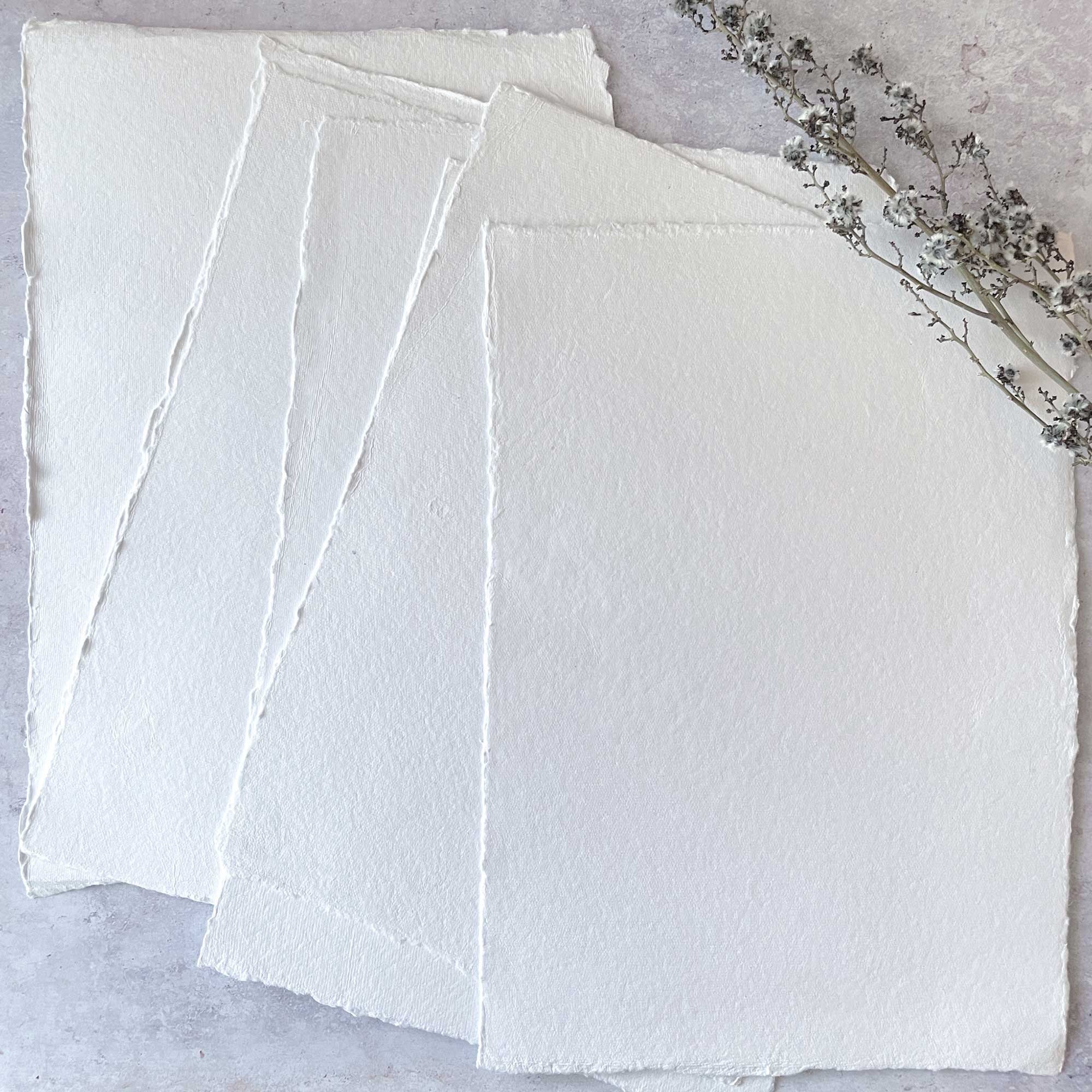 White Deckle-Edge Cotton Rag Paper