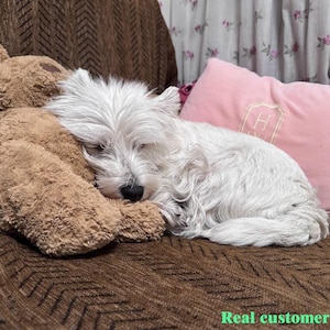 May include: A sleeping white West Highland Terrier dog cuddled with a brown teddy bear on a brown patterned couch. A pink pillow with a monogram is in the background. The text "Real customer scene" is at the bottom.