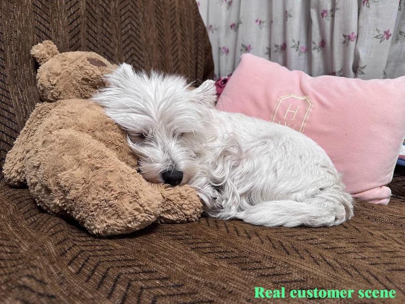 May include: A sleeping white West Highland Terrier dog cuddled with a brown teddy bear on a brown patterned couch. A pink pillow with a monogram is in the background. The text "Real customer scene" is at the bottom.