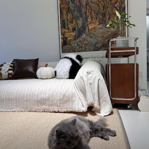 May include: A living room scene featuring a sofa with decorative pillows, a throw blanket, and a framed artwork. A gray cat is lying on the floor. The text "Real customer scene" is visible at the bottom of the image.