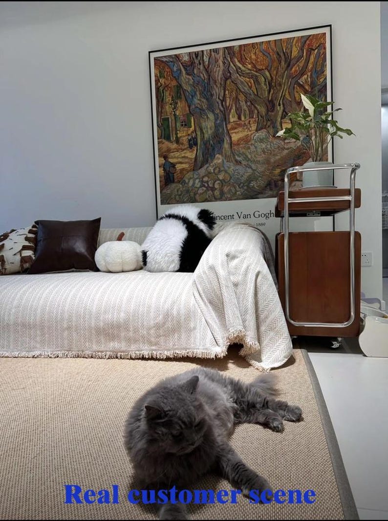 May include: A living room scene featuring a sofa with decorative pillows, a throw blanket, and a framed artwork. A gray cat is lying on the floor. The text "Real customer scene" is visible at the bottom of the image.