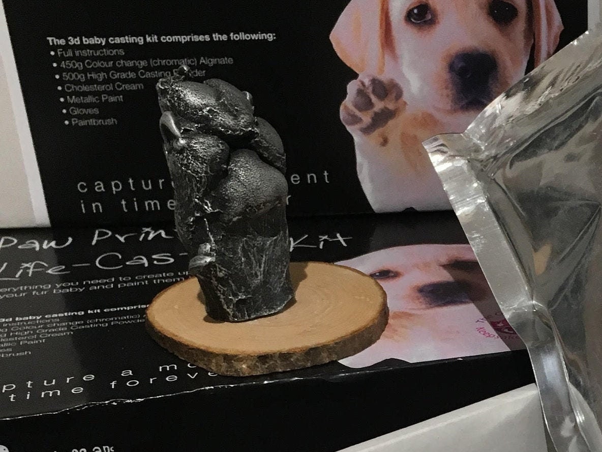 3D Paw Print Life Casting Kit Etsy UK