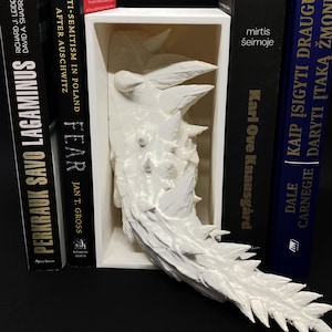 Dragon Tail Book Nook / 3D printed