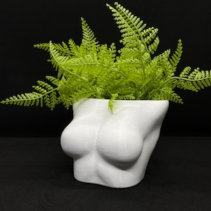 Female Chest Planter pot / 3D printed