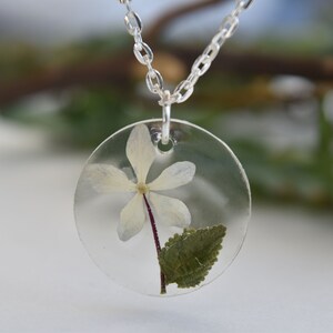 Peut inclure: Un collier en chaîne argent avec un pendentif rond présentant une fleur blanche et une feuille verte conservées dans de la résine transparente.