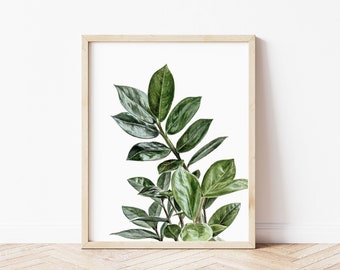 ZZ Plant Watercolor Painting | Watercolor Print | Giclee Print | Foliage Art | Tropical Plant Wall Art | Botanical Art | Greenery Prints