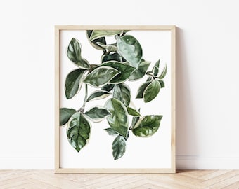 Hoya Plant Watercolor Painting | Watercolor Print | Giclee Print | Foliage Art | Tropical Plant Wall Art | Botanical Art | Greenery Prints