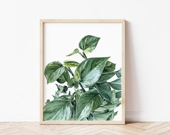 Pothos Watercolor Painting | Watercolor Print | Giclee Print | Foliage Art | Tropical Plant Wall Art | Botanical Art | Greenery Prints