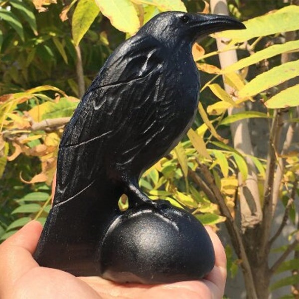 5inch Natural Obsidian Crow,Crystal Skull ,Crow Carving,Crystal Healing Decor, Crystal crow，Home Decor,Crystal gift 1PC