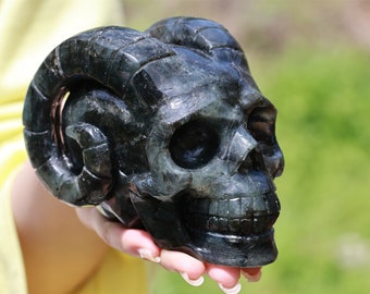 4.8'' Natural Carved Labradorite Cavel Skull,Crystal Skull ,Labradorite skull Carving,Healing Reiki,Crystal Healing,Crystal Gifts 1PC