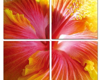 24' Multicolor Canvas 4 Panels Hibiscus Photo