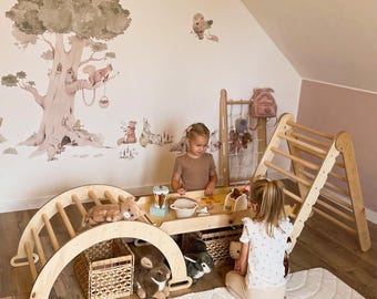 Montessori Climber Set: Climbing Arch, Triangle Ladder & Pillow