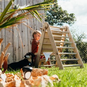 May include: A natural wood climbing triangle with a ladder and a ramp. A young child in an orange shirt is playing with the climbing structure on a grassy lawn. A black and brown dog is resting nearby.
