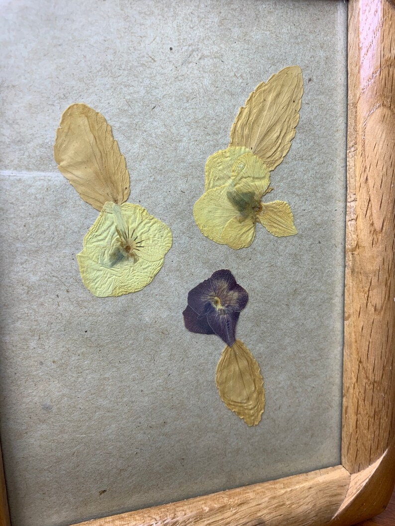 1960s Pressed Flower Paper Art Etsy
