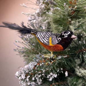 Décoration Oriole de Baltimore à clip, Noël de l&#39;Ancien Monde