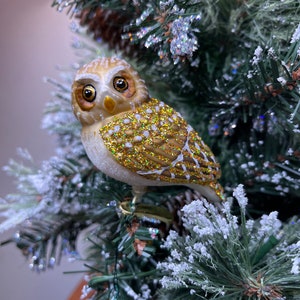 Clip on Pygmy Owl Old World Christmas Glass Ornament