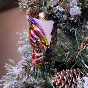 Bright Butterfly Glass ornament Old World Christmas