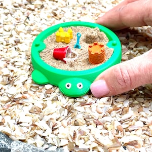 Miniature Turtle Sandbox