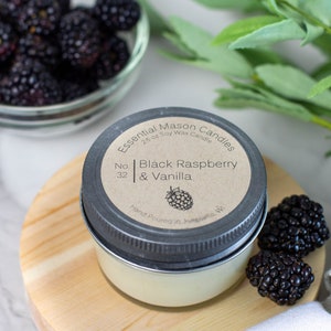 Black Raspberry & Vanilla Soy Candle - 2.6 oz