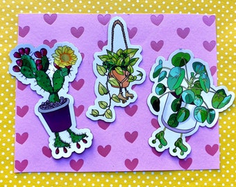 Rollerskating Plants Magnets Prickly Pear Cactus Pilea Skater 3 »