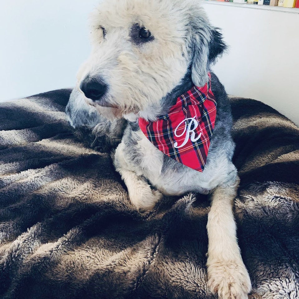 Embroidered Pet Bandana