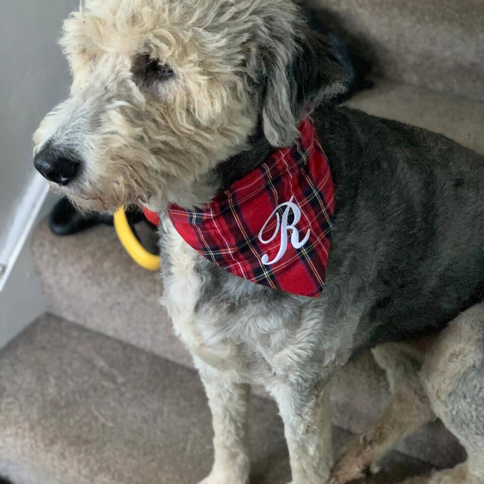 Embroidered Pet Bandana