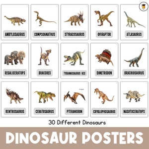 30 Dinosaur Posters | Dinosaurs | Bulletin Board | Prehistoric | Ancient | Fossils | Picture Cards | Flashcards | Memory Matching | Museum