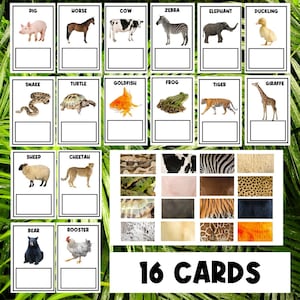 動物のプリント | マッチング分類アクティビティ | 動物アクティビティ | ビジーブック | ホームスクール | 幼稚園 | 幼児 | 分類ゲーム | ワークシート
