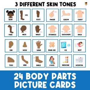 24 PARTES DO CORPO | Cartões ilustrados | Primeiro Então | Cronograma Visual | Criança | Gráfico de Comportamento | Cartão de Tarefas | Necessidades Especiais | Autismo | Saúde |
