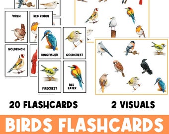 Uccelli, flashcard scientifiche, poster scientifico, natura, fogli di lavoro, scuola materna, scuola materna, prima elementare, stelo, stampabile, natura, animali