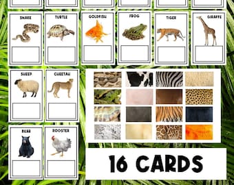 Animal Print | Matching Sorting Activity | Animal Activities | Busy Book | Homeschool | Preschool | Toddler | Sorting Games | Worksheets