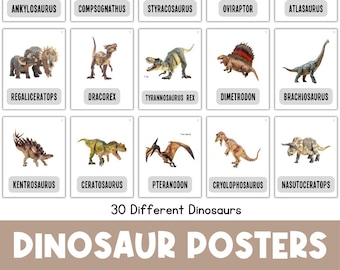 Może przedstawiać: Zestaw 12 kolorowych plakatów z dinozaurami przedstawiającymi różne gatunki dinozaurów, w tym Ankylozaura, Kompsognata, Styrakozaura, Owiraptora i wiele innych. Plakaty idealnie nadają się do pokoju dziecięcego lub klasy.