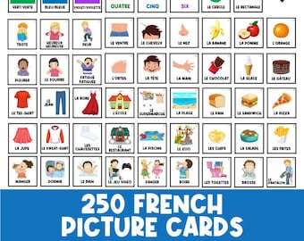 250 FRENCH | Picture Cards | First Then Board | Visual Aid |  Schedule | Toddler Behaviour | Task Card | Special Needs | Autism