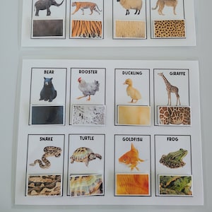 PHYSICAL COPY: Animal Print | Matching Sorting Activity | Animal Activities | Busy Book | Homeschool | Preschool | Toddler | Sorting Games