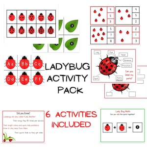 Pack d'activités coccinelle | Comptage | Numéros | Correspondance alphabétique | Puzzles préscolaires | Traçage de ligne | Mathématiques préscolaires | Cartes de comptage et de clip