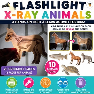 May include: Flashlight X-Ray Animals printable activity set featuring 20 pages for 10 animals. Includes illustrations of a horse, fish, cat, and turtle. Text reads: Flashlight X-Ray Animals, A Hands-On Light & Learn Activity For Kids, 10 Animals Total.