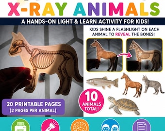 Röntgen-Aktivität mit der Taschenlampe: Tierknochen | Tierskelett-Vorlage zum Ausdrucken | Wissenschaftszentrum für Vorschulkinder | Praktisches MINT-Lernen | Kindergarten