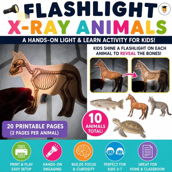 Flashlight X-Ray Animal Bones Activity | Animal Skeleton Printable | Preschool Science Center | Hands-On STEM Learning | Kindergarten