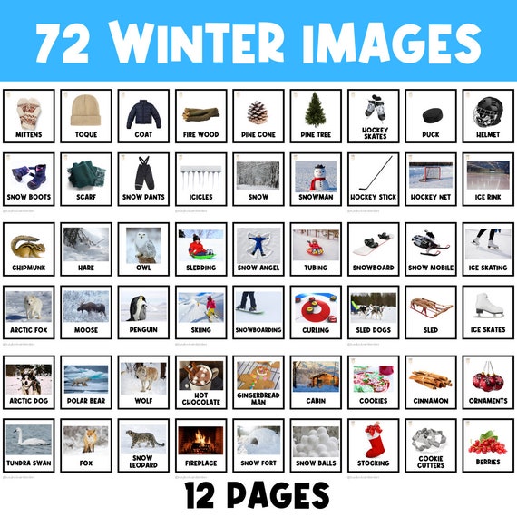 72 WINTER FLASHCARDS | Winter Animals | Winter Clothing | Winter Object | Winter Pictures | Winter Activities | Winter Sports | Picture Card