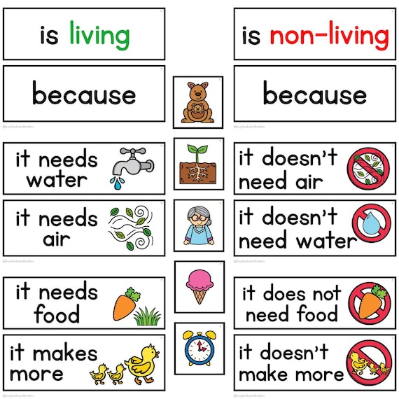 Living Vs Non-Living Science | Sorting | Worksheets | Grade One | Grade Two | Grade 3 | Life System | Basic Needs | STEM | Flashcards