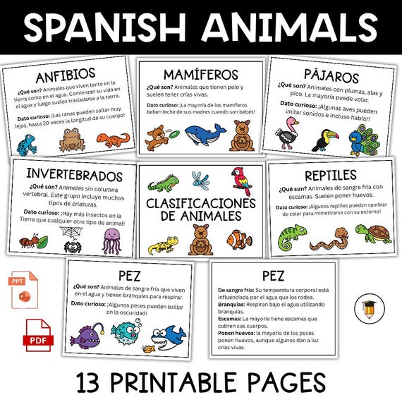SPANISH: Animal Classification | Animal Groups | Habitats | Animal Sorting Activities | Living Things | Science for kids | En Espanol