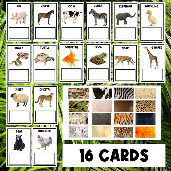Animal Print | Matching Sorting Activity | Animal Activities | Busy Book | Homeschool | Preschool | Toddler | Sorting Games | Worksheets