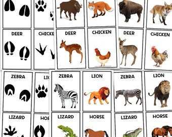 Animal Print Flashcards | Matching Sorting Activity | Animal Activities | Classification | Homeschool | Preschool | Toddler | Sorting Games