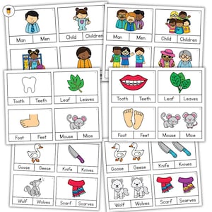Plural Nouns Task Cards  | Nouns Picture Cards | English Language | Vocabulary | Flashcards | Clip Cards | ELA Activities | Irregular Noun